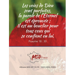 Calendrier Trésors 2027